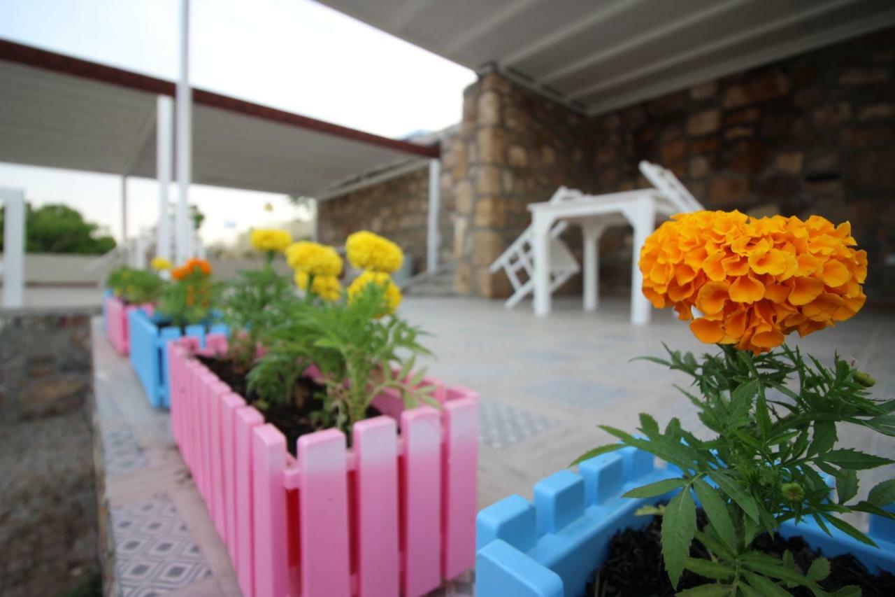 Denizyıldızı Otel Bozcaada Dış mekan fotoğraf